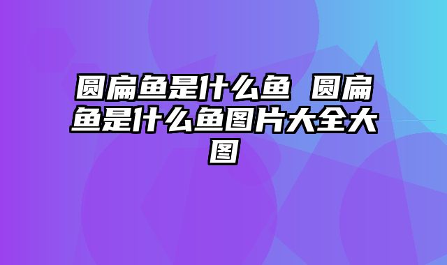 圆扁鱼是什么鱼 圆扁鱼是什么鱼图片大全大图