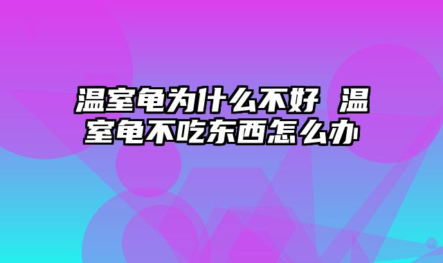 温室龟为什么不好 温室龟不吃东西怎么办