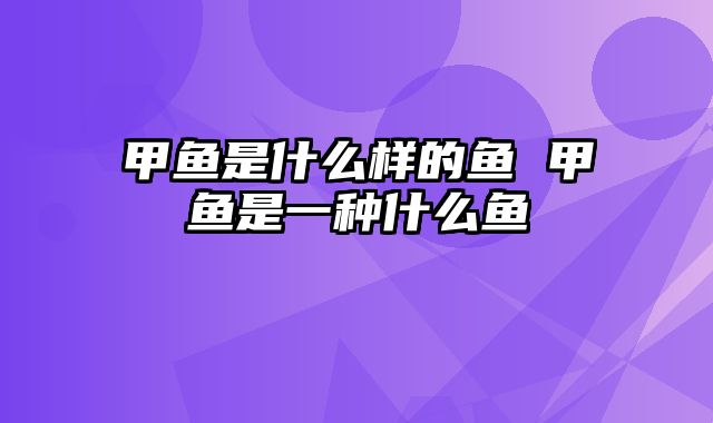 甲鱼是什么样的鱼 甲鱼是一种什么鱼