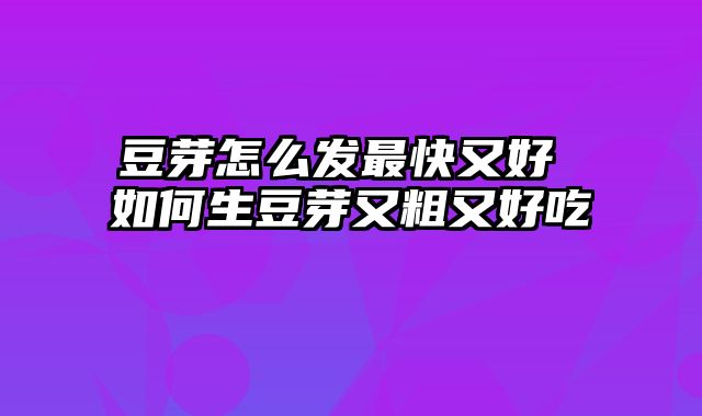 豆芽怎么发最快又好 如何生豆芽又粗又好吃