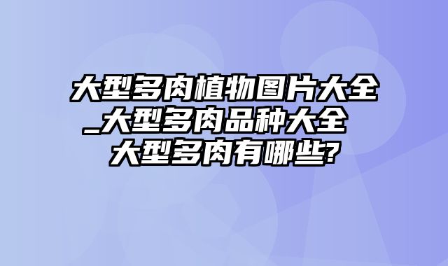 大型多肉植物图片大全_大型多肉品种大全 大型多肉有哪些?