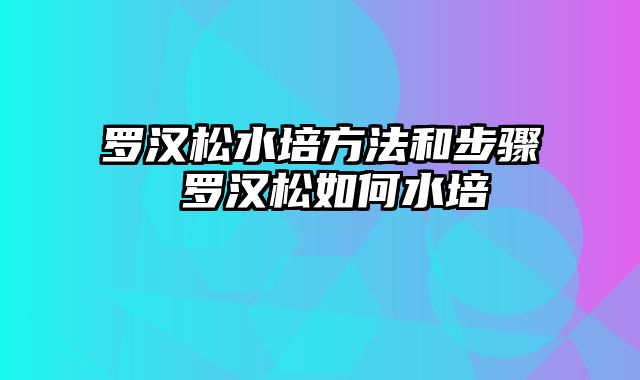 罗汉松水培方法和步骤 罗汉松如何水培