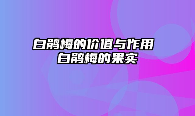 白鹃梅的价值与作用 白鹃梅的果实