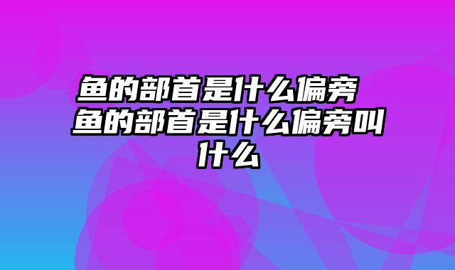 鱼的部首是什么偏旁 鱼的部首是什么偏旁叫什么