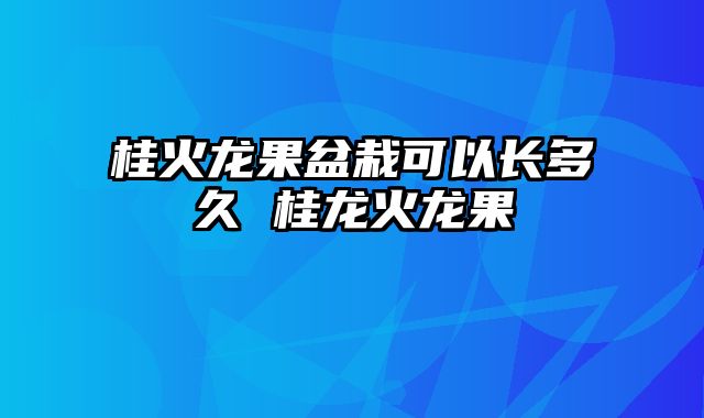 桂火龙果盆栽可以长多久 桂龙火龙果