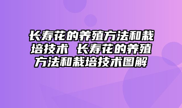 长寿花的养殖方法和栽培技术 长寿花的养殖方法和栽培技术图解