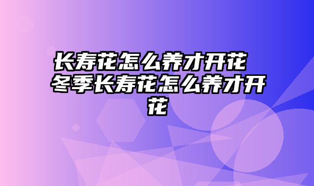 长寿花怎么养才开花 冬季长寿花怎么养才开花