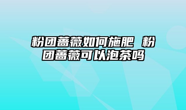 粉团蔷薇如何施肥 粉团蔷薇可以泡茶吗