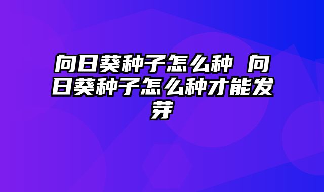 向日葵种子怎么种 向日葵种子怎么种才能发芽