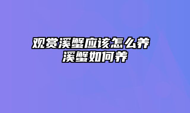 观赏溪蟹应该怎么养 溪蟹如何养