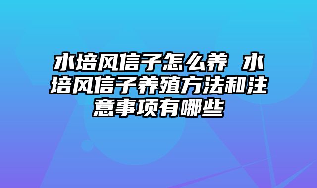 水培风信子怎么养 水培风信子养殖方法和注意事项有哪些