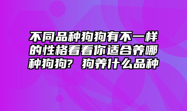 不同品种狗狗有不一样的性格看看你适合养哪种狗狗? 狗养什么品种