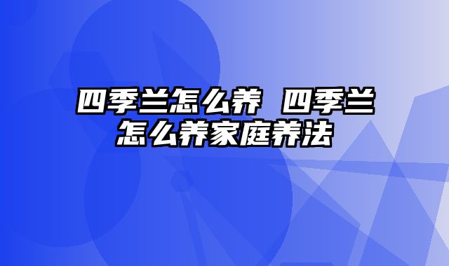 四季兰怎么养 四季兰怎么养家庭养法