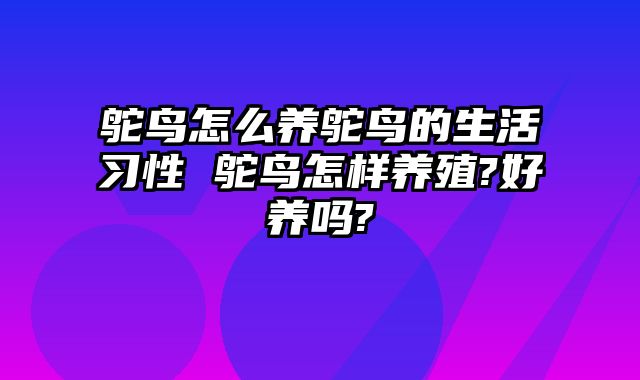 鸵鸟怎么养鸵鸟的生活习性 鸵鸟怎样养殖?好养吗?