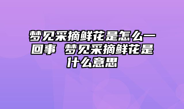 梦见采摘鲜花是怎么一回事 梦见采摘鲜花是什么意思