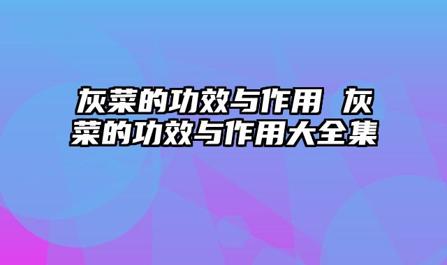 灰菜的功效与作用 灰菜的功效与作用大全集