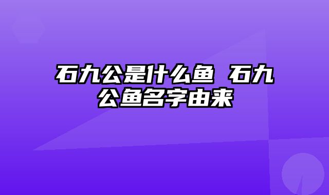 石九公是什么鱼 石九公鱼名字由来