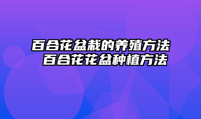 百合花盆栽的养殖方法 百合花花盆种植方法