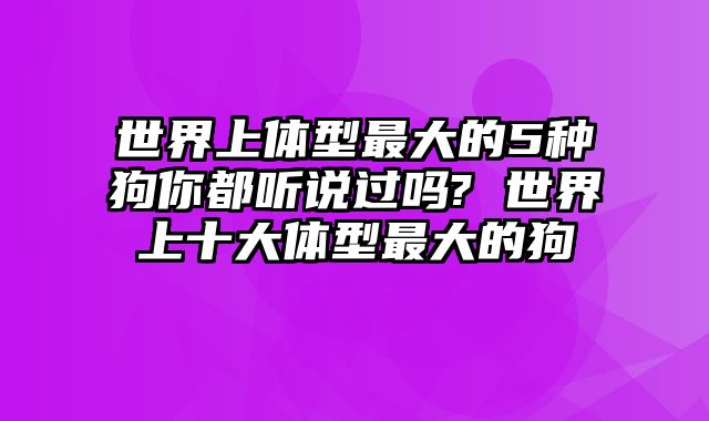 世界上体型最大的5种狗你都听说过吗? 世界上十大体型最大的狗