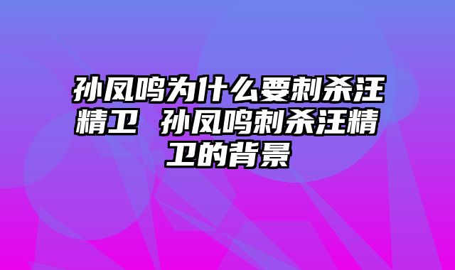 孙凤鸣为什么要刺杀汪精卫 孙凤鸣刺杀汪精卫的背景