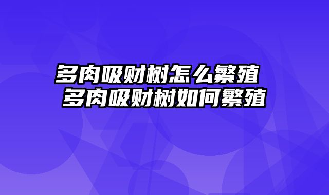 多肉吸财树怎么繁殖 多肉吸财树如何繁殖