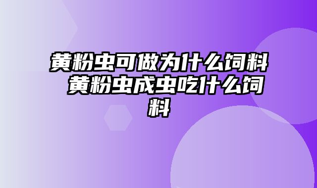 黄粉虫可做为什么饲料 黄粉虫成虫吃什么饲料