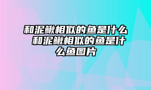 和泥鳅相似的鱼是什么 和泥鳅相似的鱼是什么鱼图片