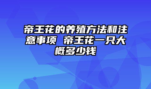 帝王花的养殖方法和注意事项 帝王花一只大概多少钱