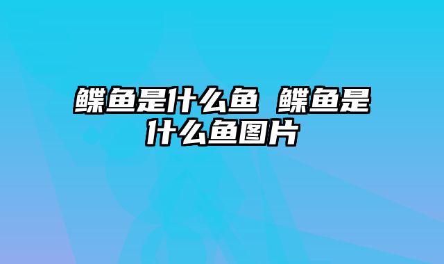 鲽鱼是什么鱼 鲽鱼是什么鱼图片