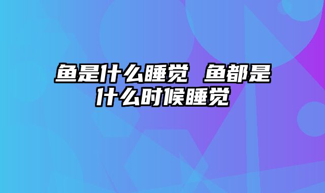 鱼是什么睡觉 鱼都是什么时候睡觉