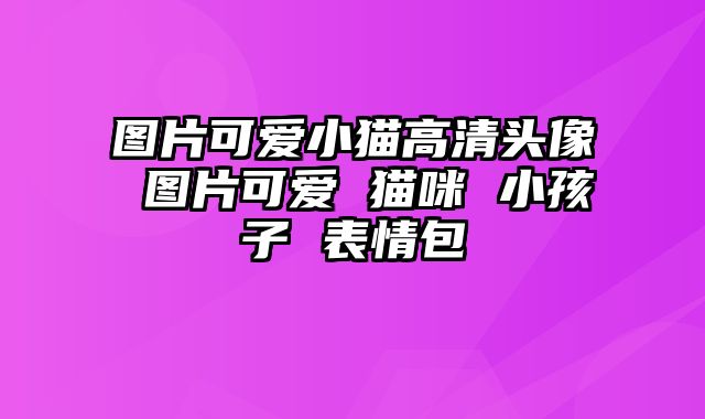 图片可爱小猫高清头像 图片可爱 猫咪 小孩子 表情包