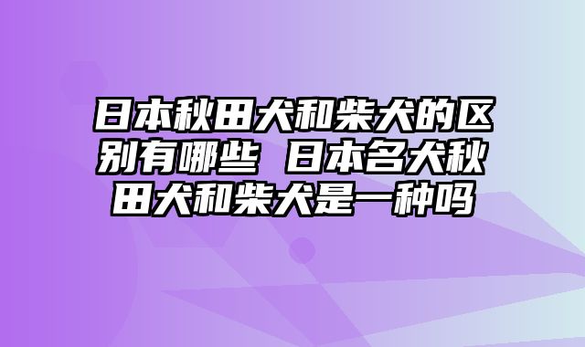 日本秋田犬和柴犬的区别有哪些 日本名犬秋田犬和柴犬是一种吗