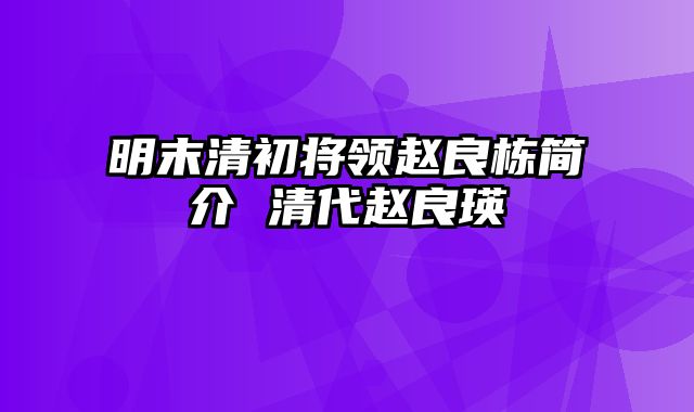 明末清初将领赵良栋简介 清代赵良瑛