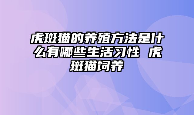 虎斑猫的养殖方法是什么有哪些生活习性 虎斑猫饲养