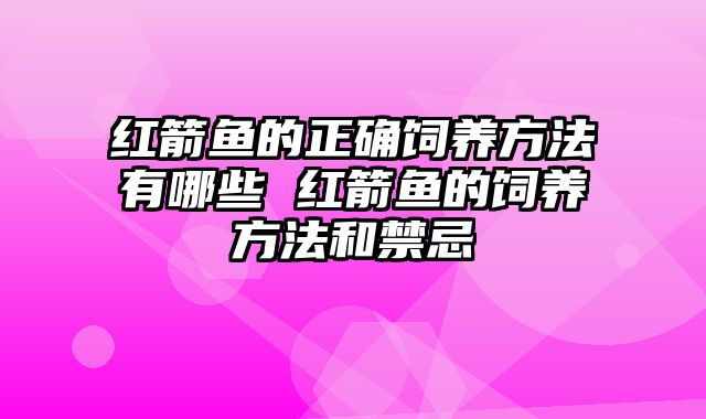 红箭鱼的正确饲养方法有哪些 红箭鱼的饲养方法和禁忌