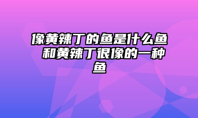 像黄辣丁的鱼是什么鱼 和黄辣丁很像的一种鱼