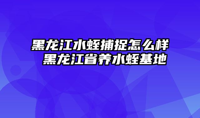 黑龙江水蛭捕捉怎么样 黑龙江省养水蛭基地