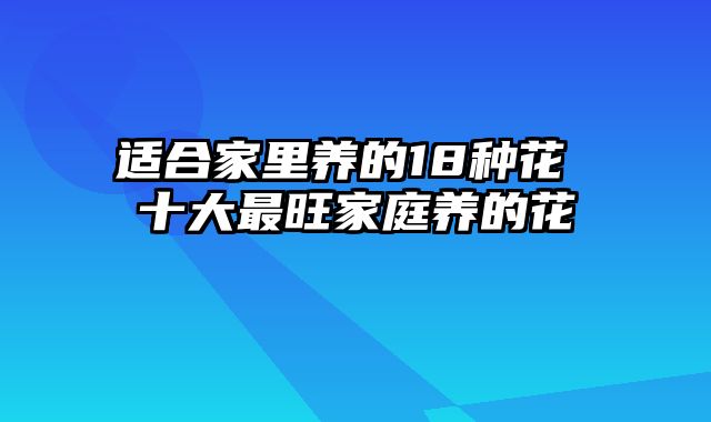 适合家里养的18种花 十大最旺家庭养的花