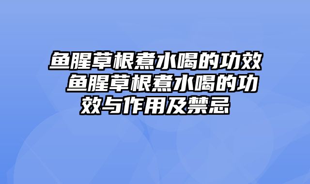 鱼腥草根煮水喝的功效 鱼腥草根煮水喝的功效与作用及禁忌