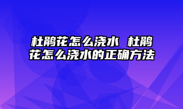 杜鹃花怎么浇水 杜鹃花怎么浇水的正确方法