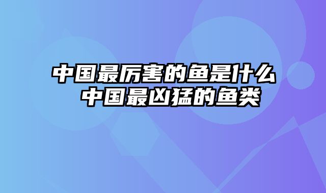 中国最厉害的鱼是什么 中国最凶猛的鱼类