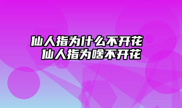 仙人指为什么不开花 仙人指为啥不开花