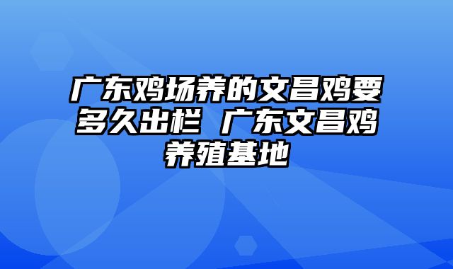 广东鸡场养的文昌鸡要多久出栏 广东文昌鸡养殖基地