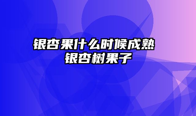 银杏果什么时候成熟 银杏树果子