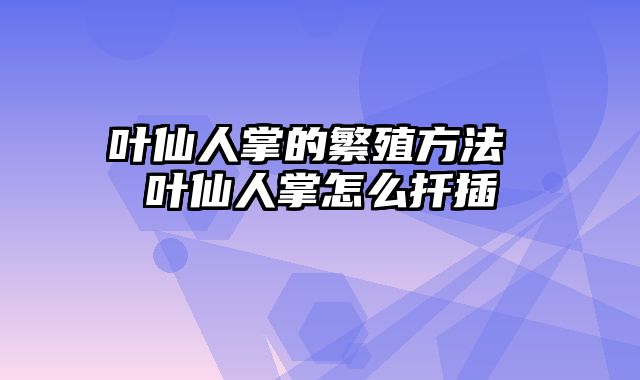 叶仙人掌的繁殖方法 叶仙人掌怎么扦插