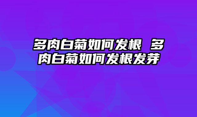 多肉白菊如何发根 多肉白菊如何发根发芽