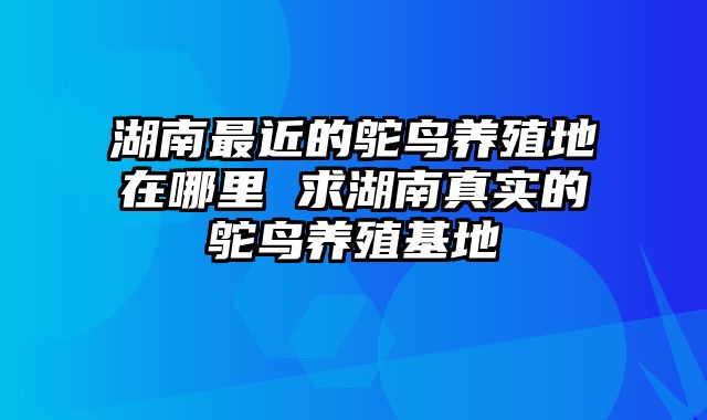 湖南最近的鸵鸟养殖地在哪里 求湖南真实的鸵鸟养殖基地