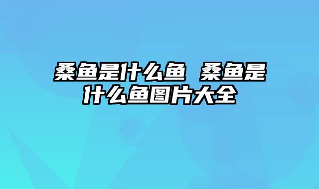 桑鱼是什么鱼 桑鱼是什么鱼图片大全