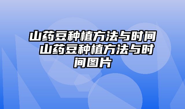 山药豆种植方法与时间 山药豆种植方法与时间图片