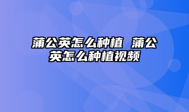 蒲公英怎么种植 蒲公英怎么种植视频